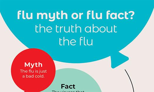 Six flu myths debunked [Infographic]